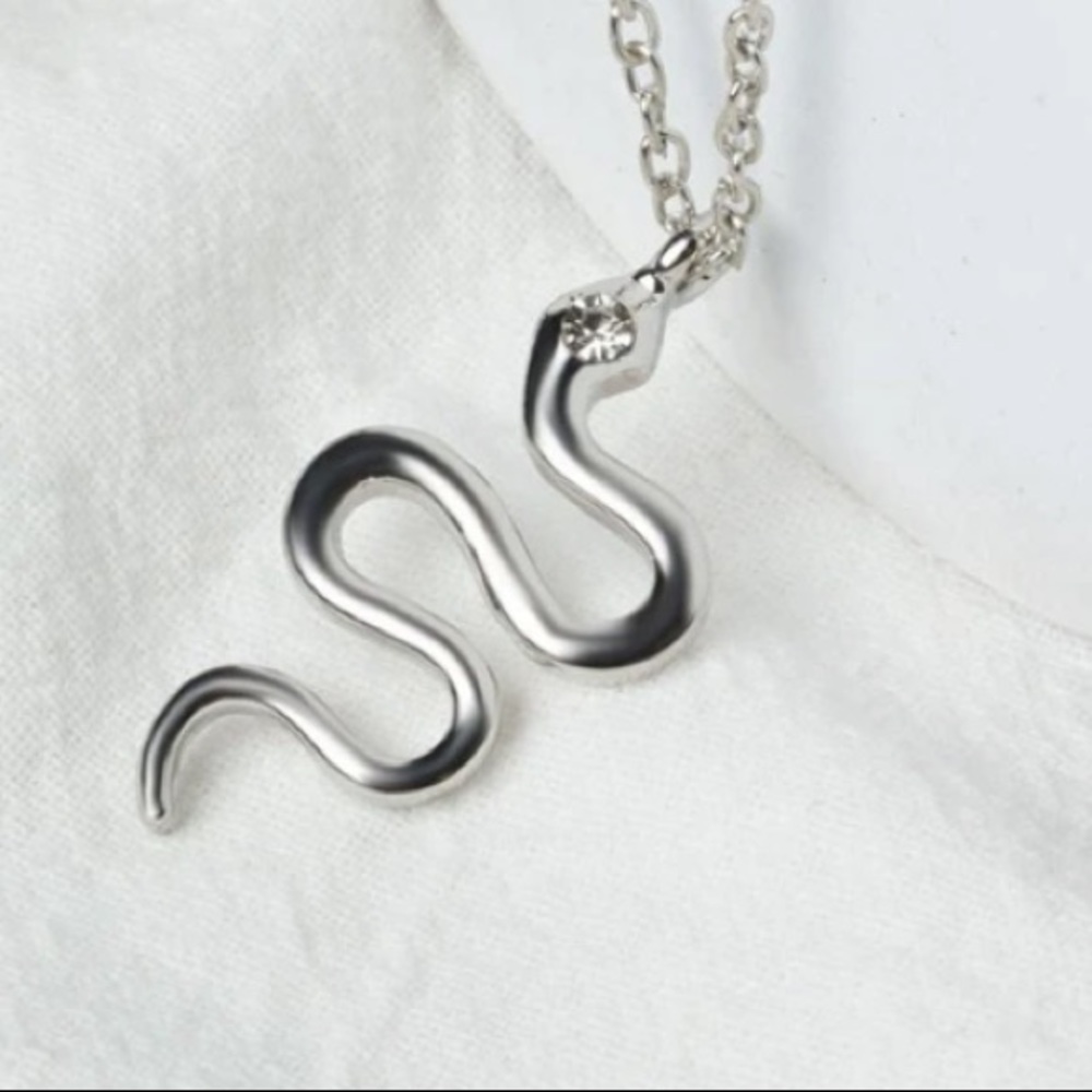 🌕Snake Charm Necklace.
